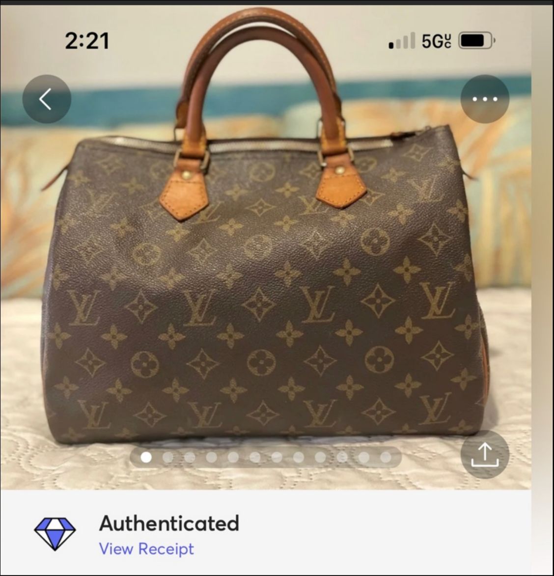 Louis Vuitton Speedy 30 Satchel