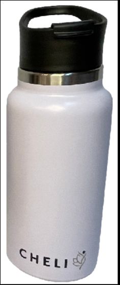 Stainless Steel Insulated Water Bottle 